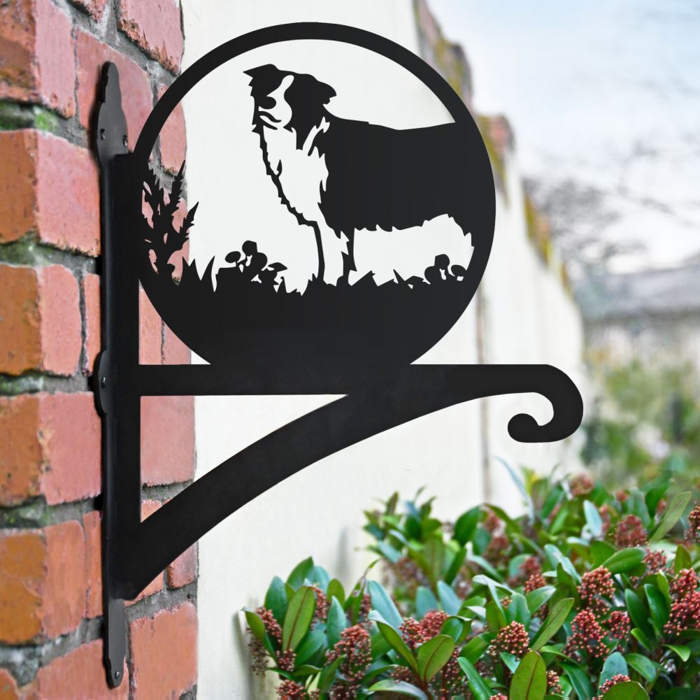 Border Collie Hanging Basket Bracket