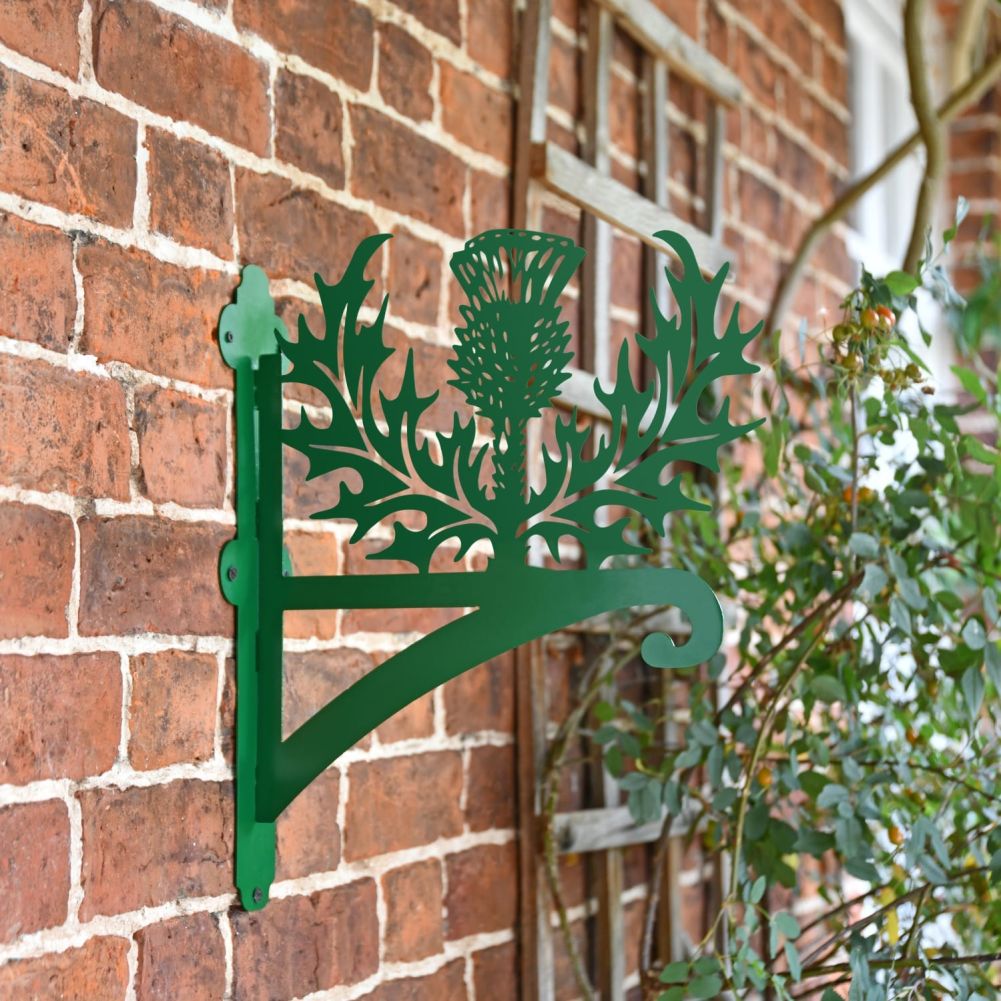 Green Thistle Iron Hanging Basket Bracket In Situ