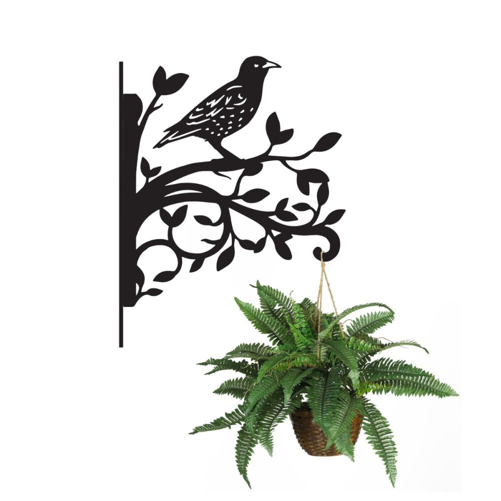 Starling & Branches Iron Hanging Basket Bracket on White Background