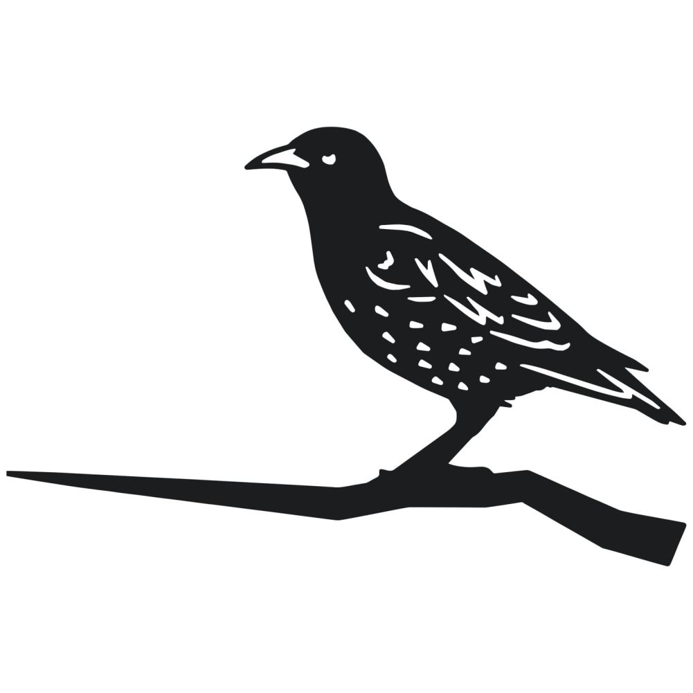 Starling Tree Spike On a White Background