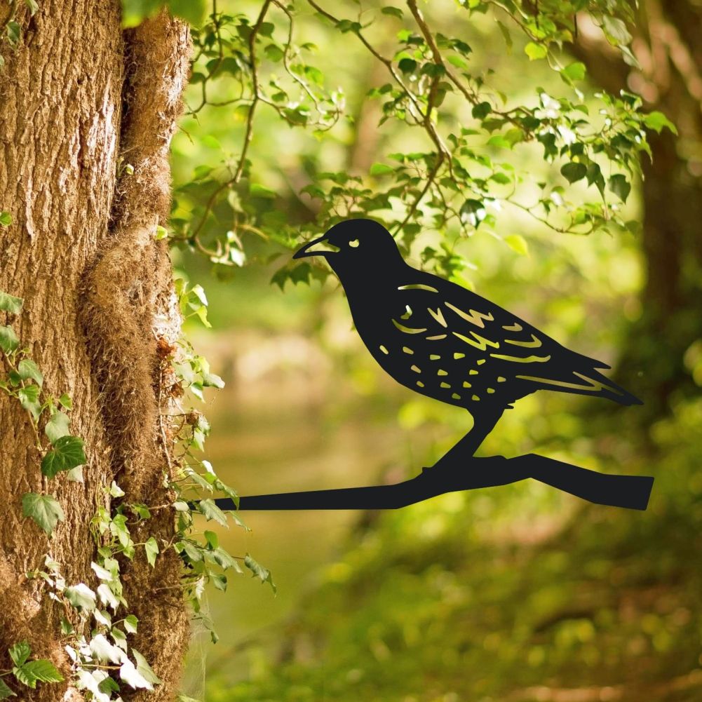 Starling Tree Spike On an Old Tree
