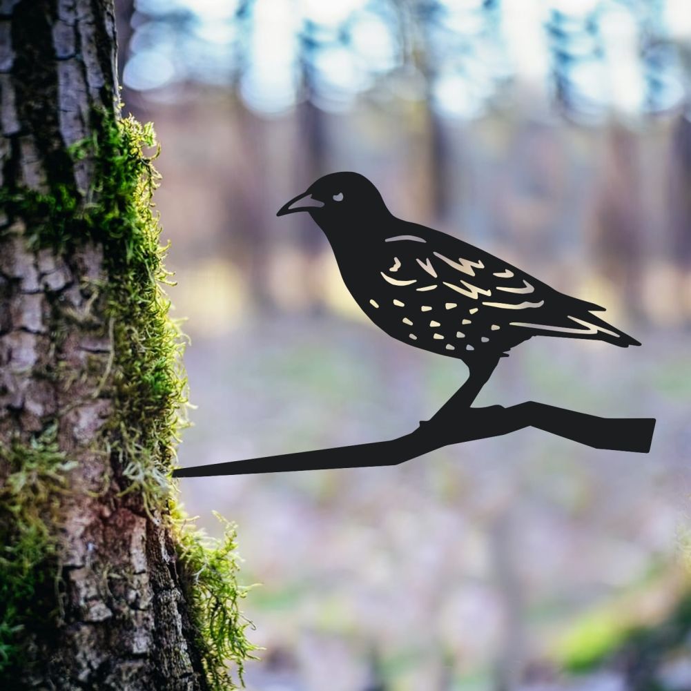 Starling Tree Spike In a Wood