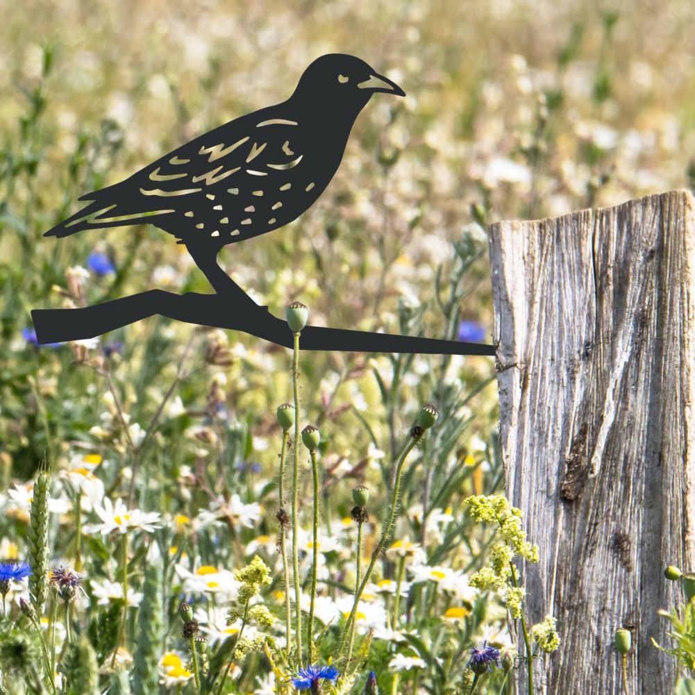 Starling Tree Spike On a Post