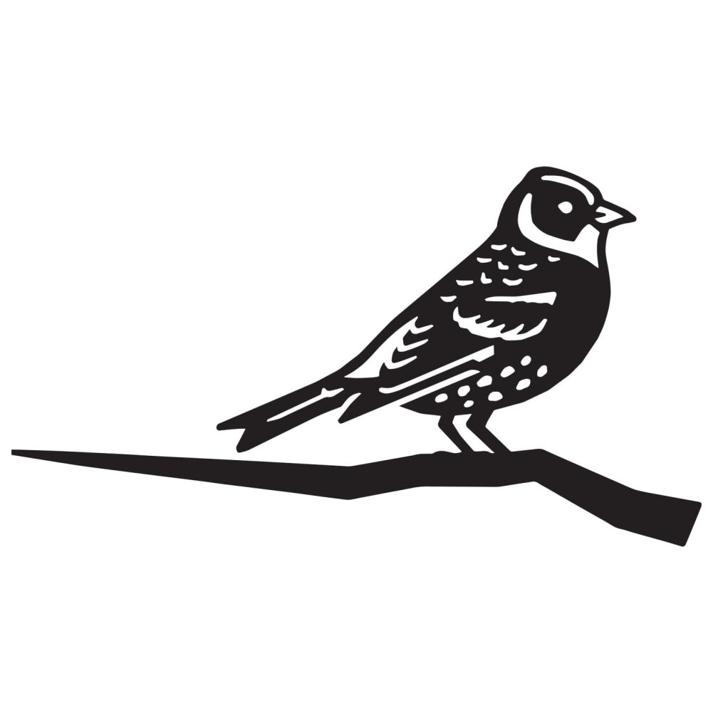 Brambling Tree Spike On a White Background