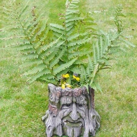 Tree Stump Planter distance 