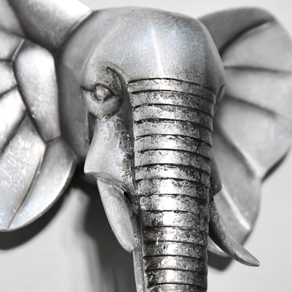 Close up of  Elephant Head and Trunk 