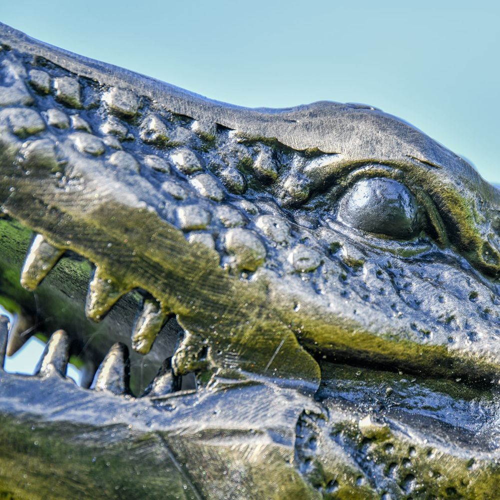Cast Aluminium Life Size Crocodile Garden Sculpture Eye Detail