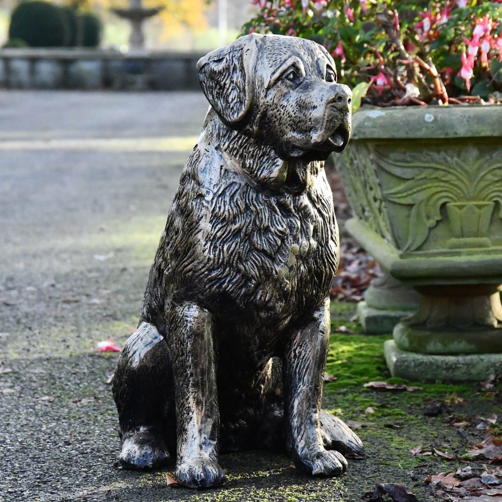 St Bernard Puppy Garden Sculpture 