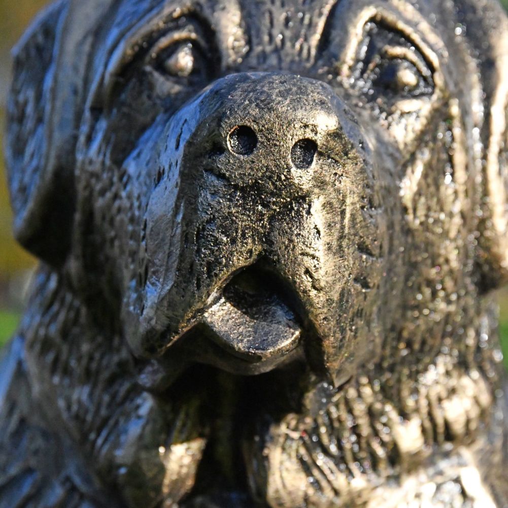 Close up of St Bernard Sculpture Face 