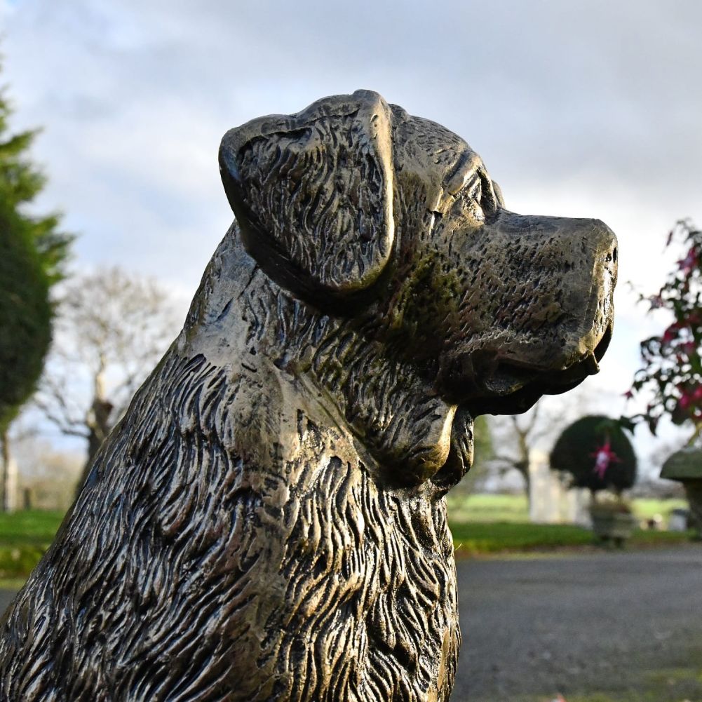 Side profile of head of St Bernard Sculpture 
