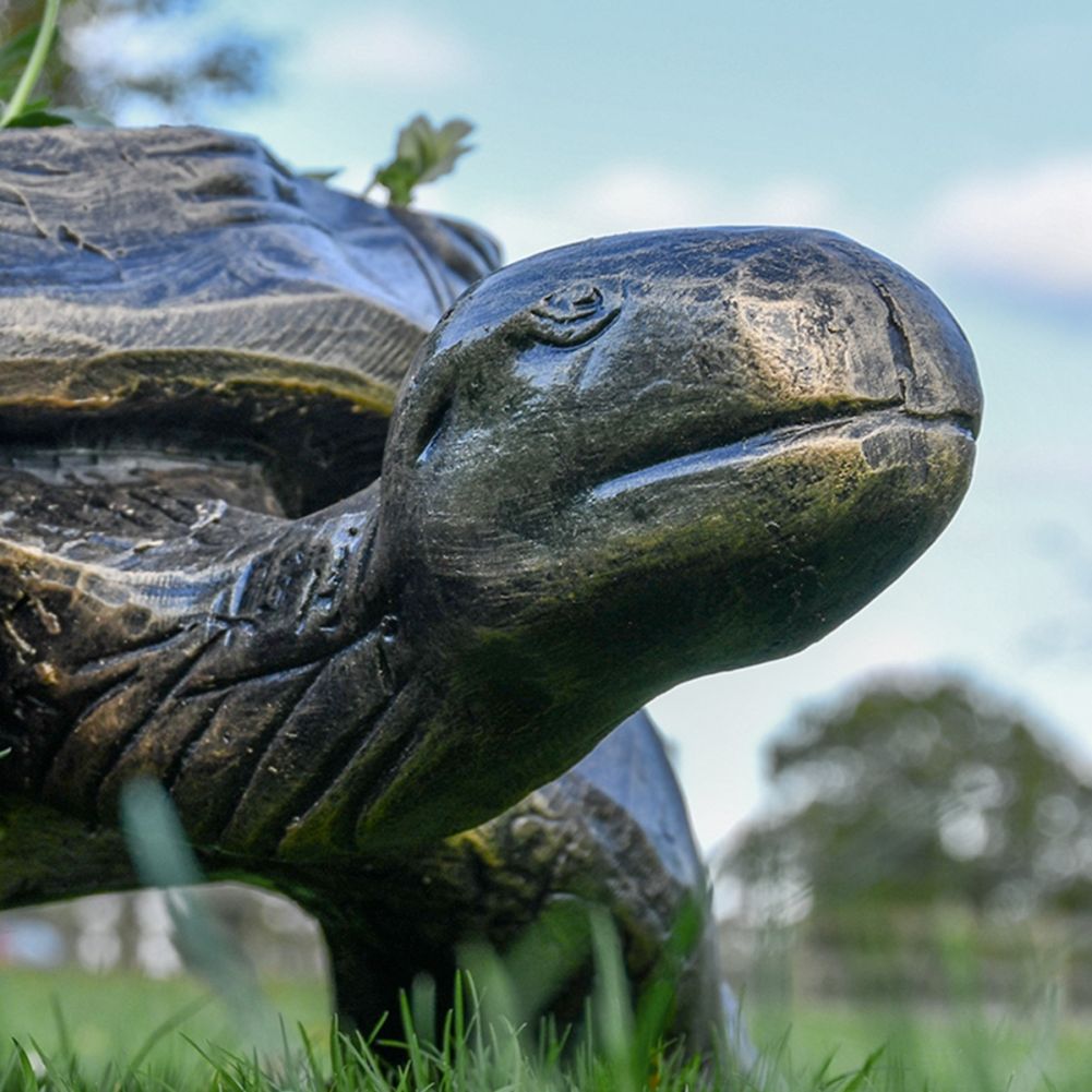 Close up of Tortoise Head on Planter and Sculpture 