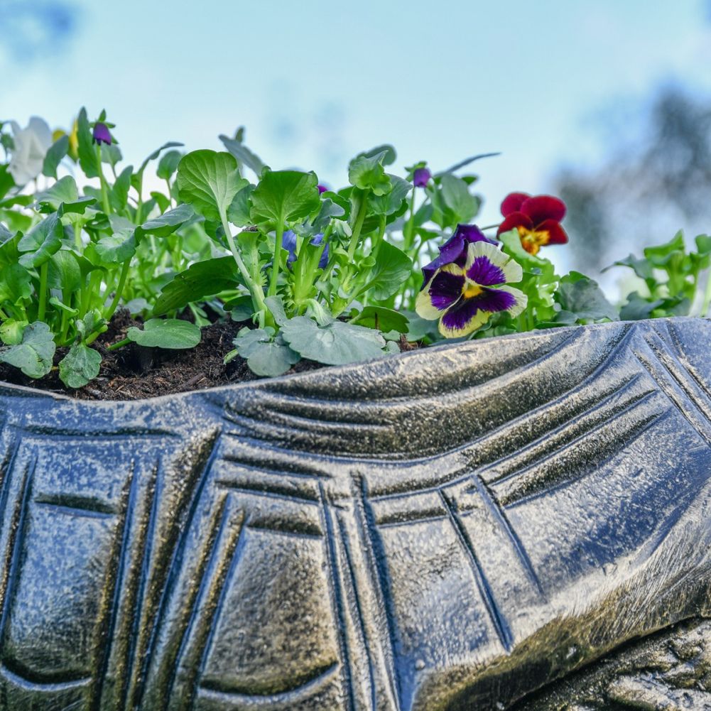 Close up of Planter aspect on Tortoise 