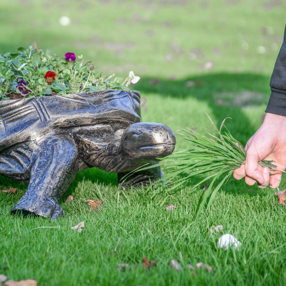 Antique Gold Tortoise Planter in Grounds 
