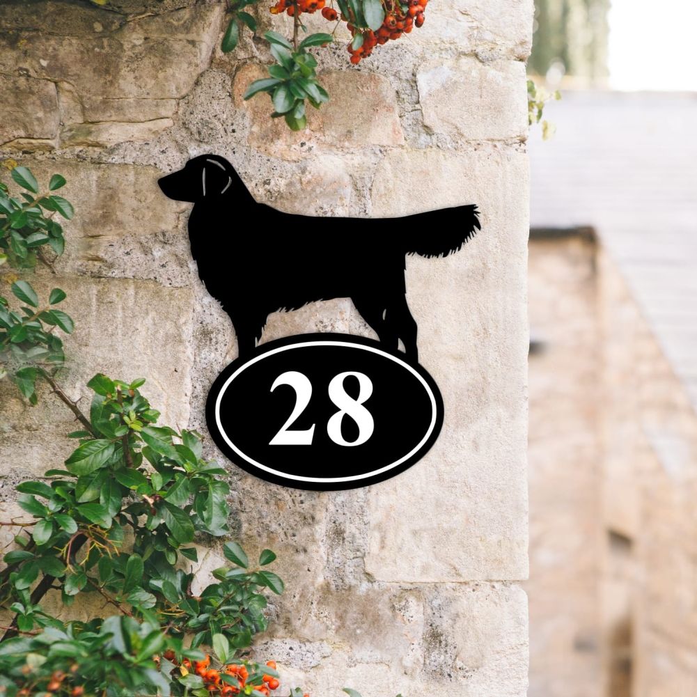 Golden Retriever Iron House Number Sign In Situ
