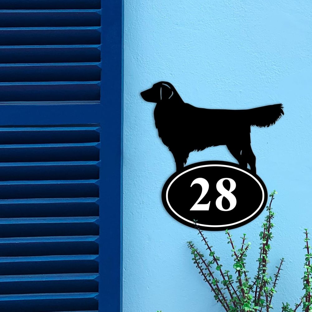 Golden Retriever Iron House Number Sign On a Blue Wall