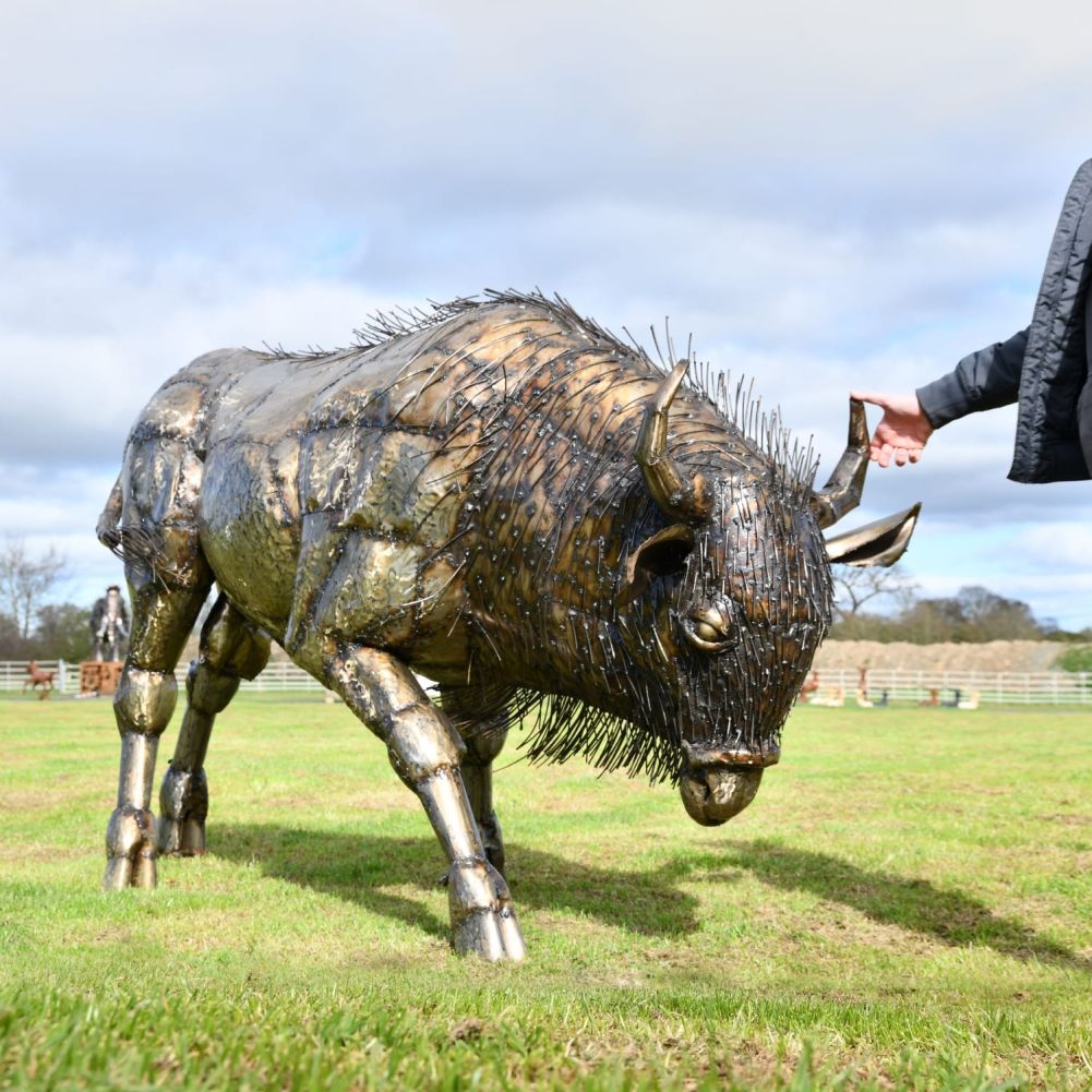 Large Recycled Metal Bison Garden Sculpture With Hand For Scale