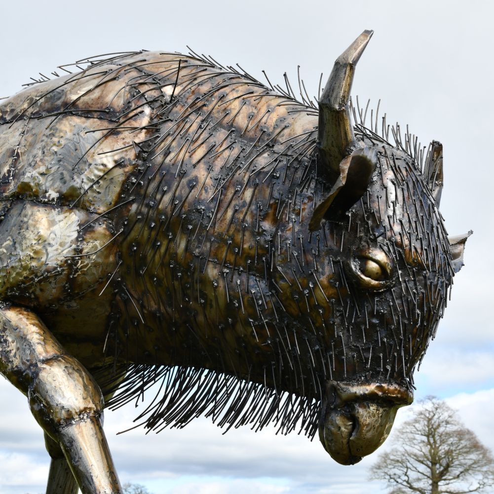 Large Recycled Metal Bison Garden Sculpture Head Detail
