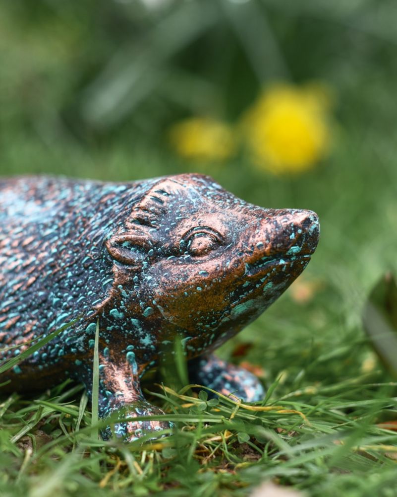 Close Up Of Verdigris 