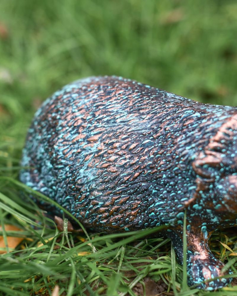 Close Up Of Verdigris 