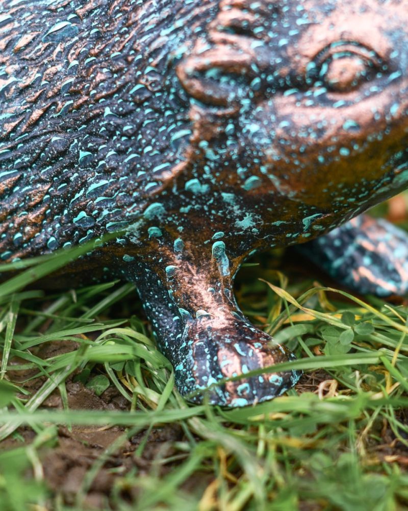 Close Up Of Verdigris 