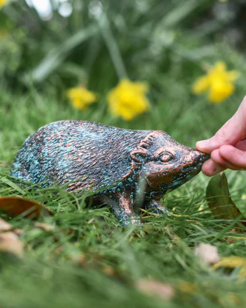 Scale Shot Of Verdigris 