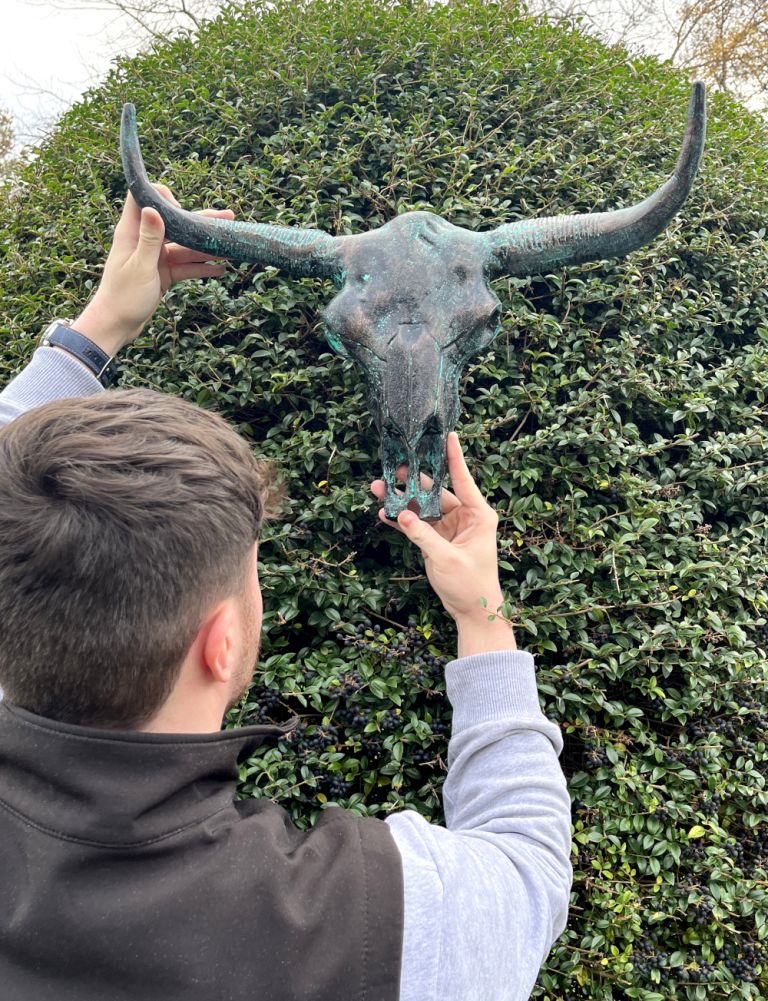 Scale Of The Verdigris Bison Skull Home Ornament