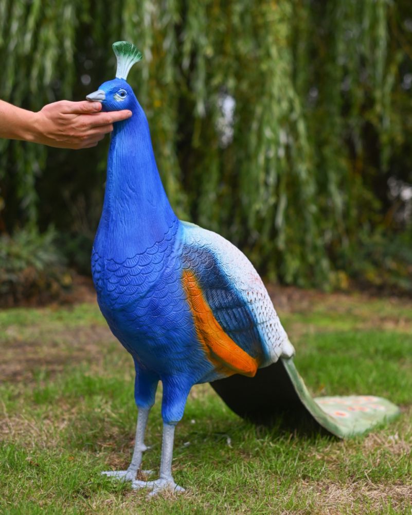 Vibrant blue peacock outdoor statue