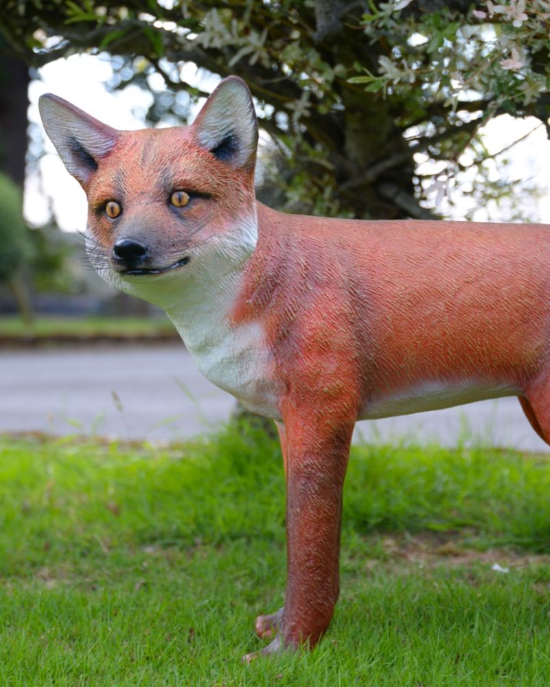 'Vixen' The Realistic Fox Resin Garden Sculpture - Collection Only Colour