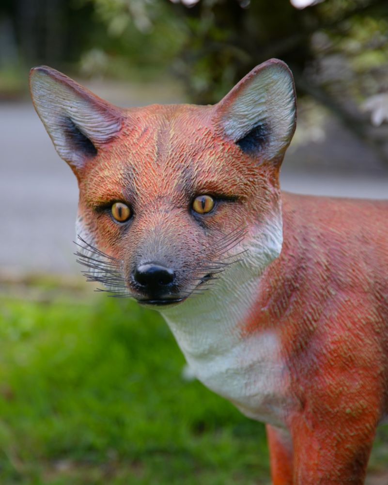 'Vixen' The Realistic Fox Resin Garden Sculpture - Collection Only Face 