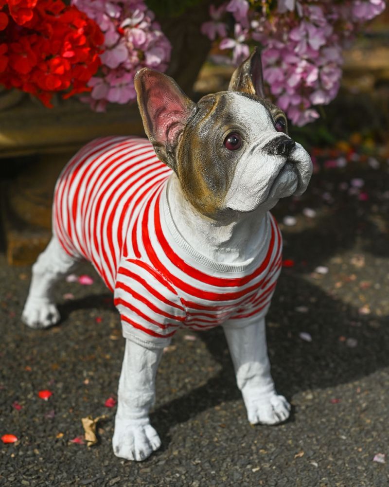 Fibreglass French Bulldog Garden Sculpture In Situ