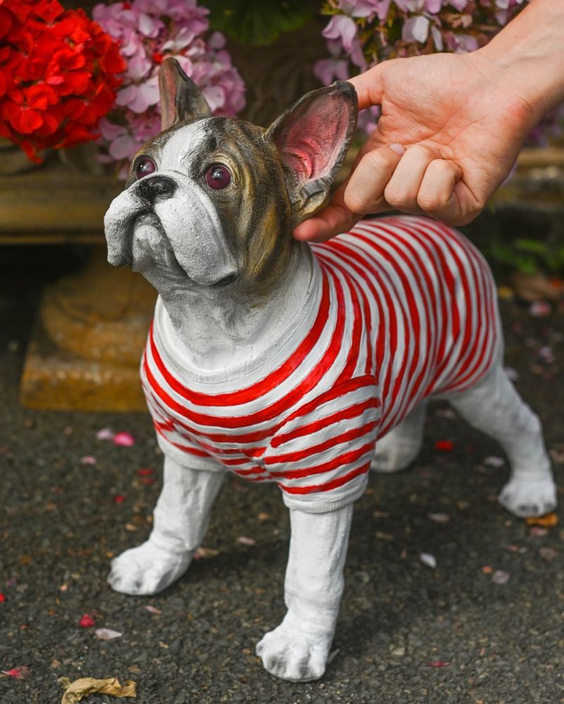 Scale Of The Fibreglass French Bulldog Garden Sculpture
