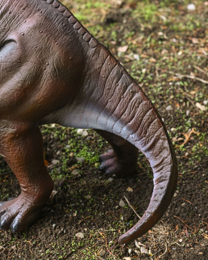 weatherproof prehistoric triceratops yard art