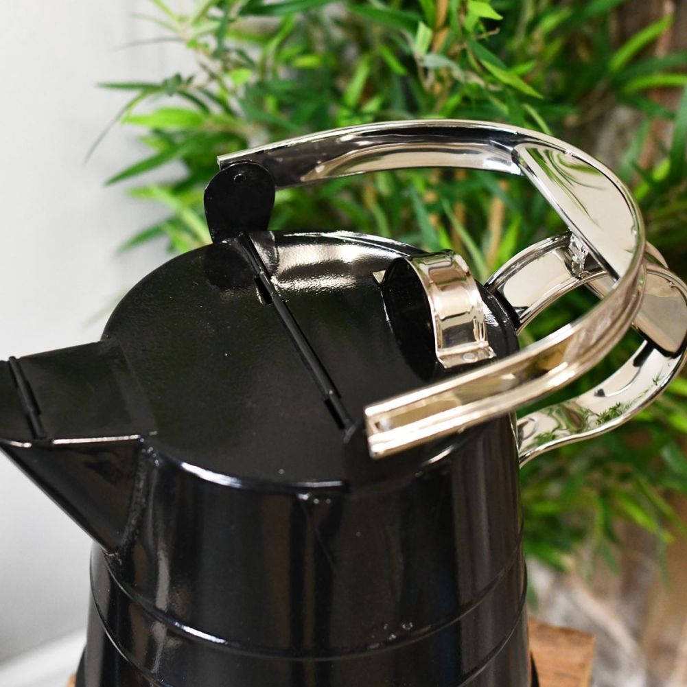 'Whipsnade' Classic Bright Chrome Watering Can Top - 2 Gallon 