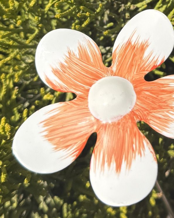 White & Orange Mini Steel Forget Me Not - Set Of Six Close Up
