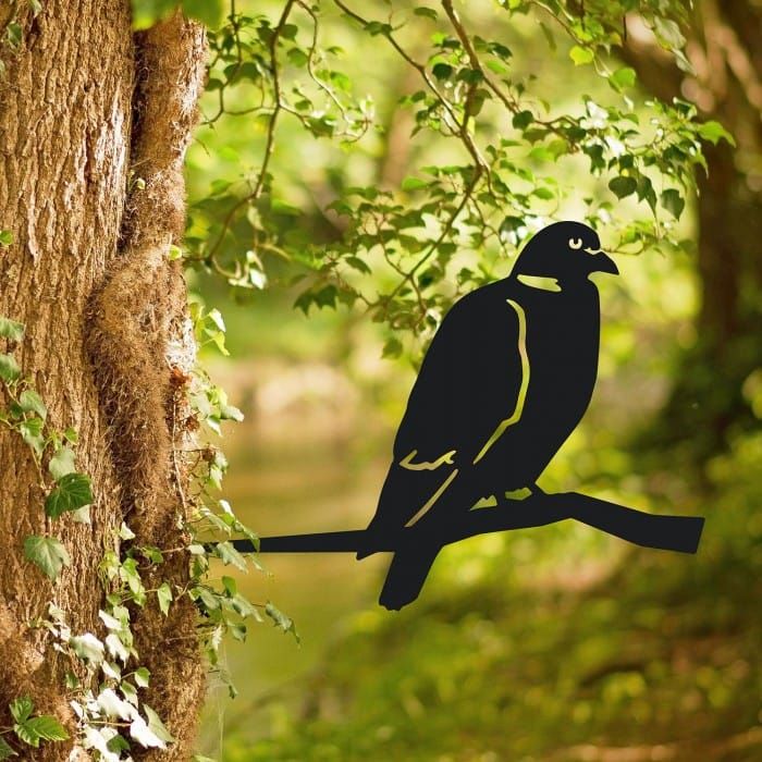 Wood Pigeon Iron Tree Spike in tree
