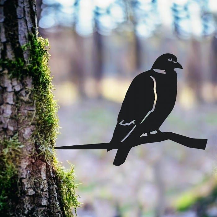 Wood Pigeon Iron Tree Spike in tree