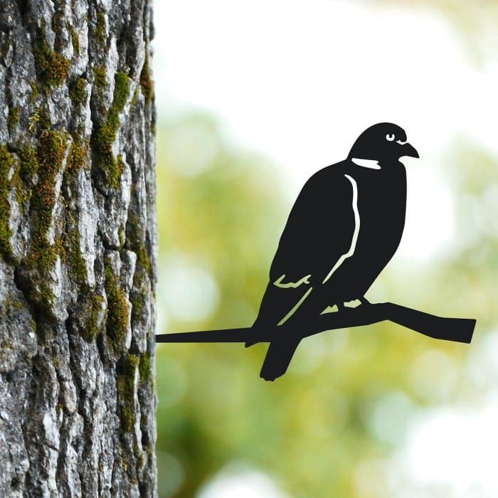Wood Pigeon Iron Tree Spike in tree