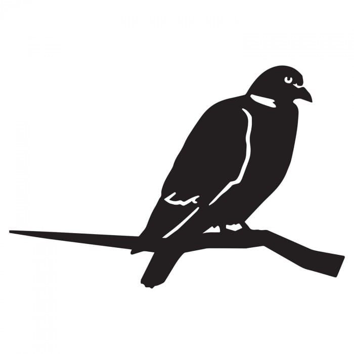 Wood Pigeon Iron Tree Spike on white