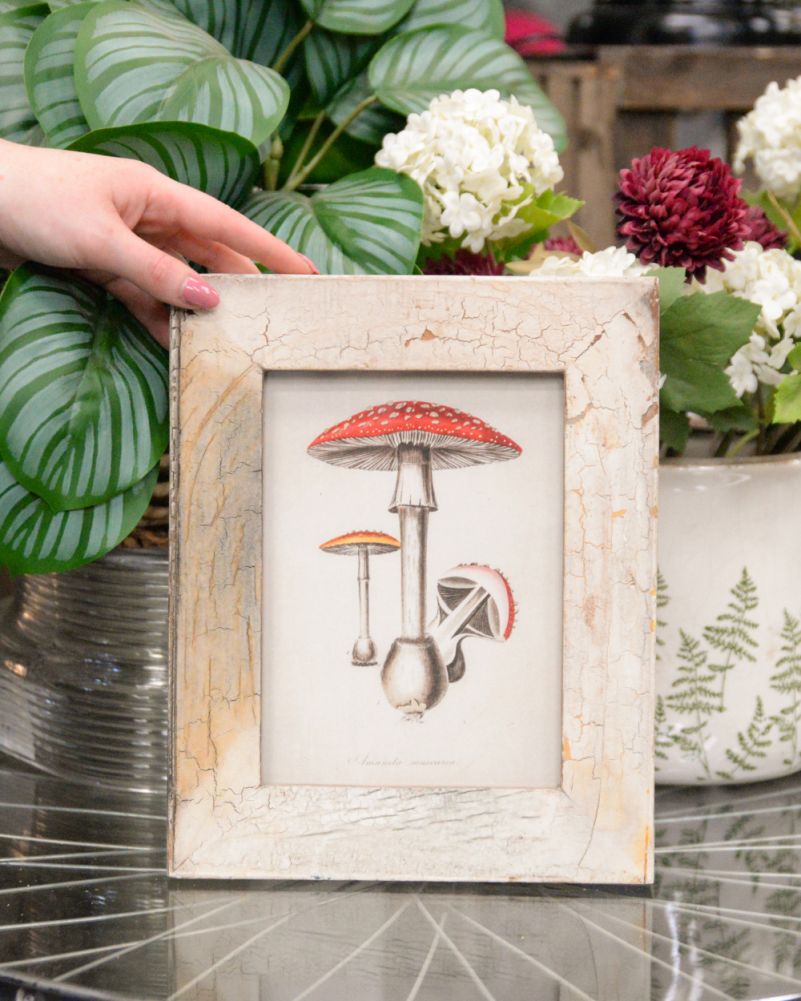 Scale of The Woodland Sprite Recycled Wooden Framed Agaric Artwork