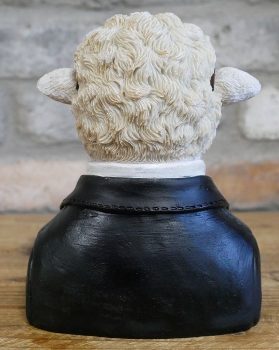 Back Of The 'Woolly Professor' Resin Sheep Bust