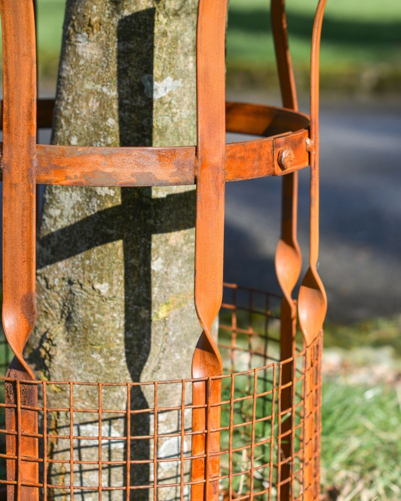 Close Up Style On The Wrought Iron Traditional Rustic 'Dalby' Tree Guard - 61cm