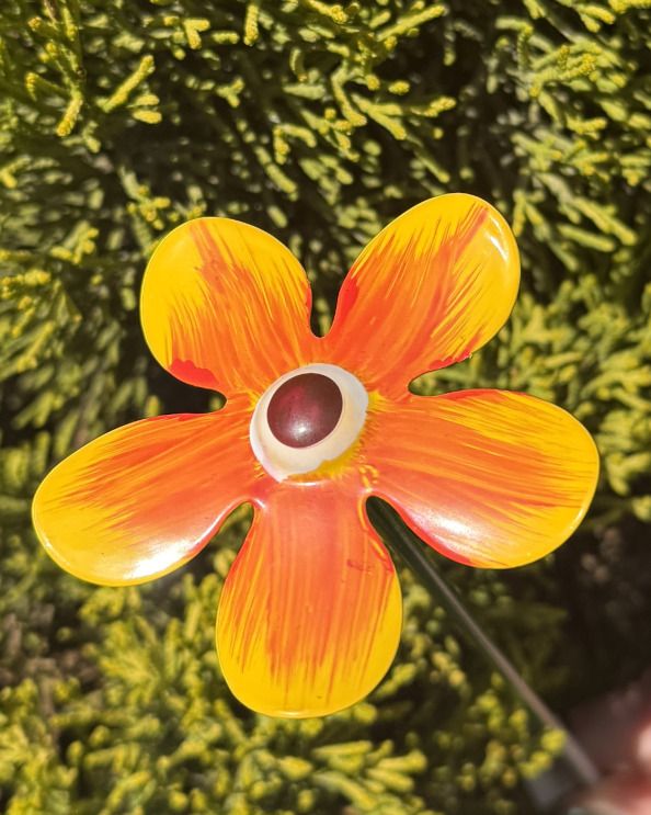 Yellow & Orange Mini Steel Forget Me Not - Set Of Six Single