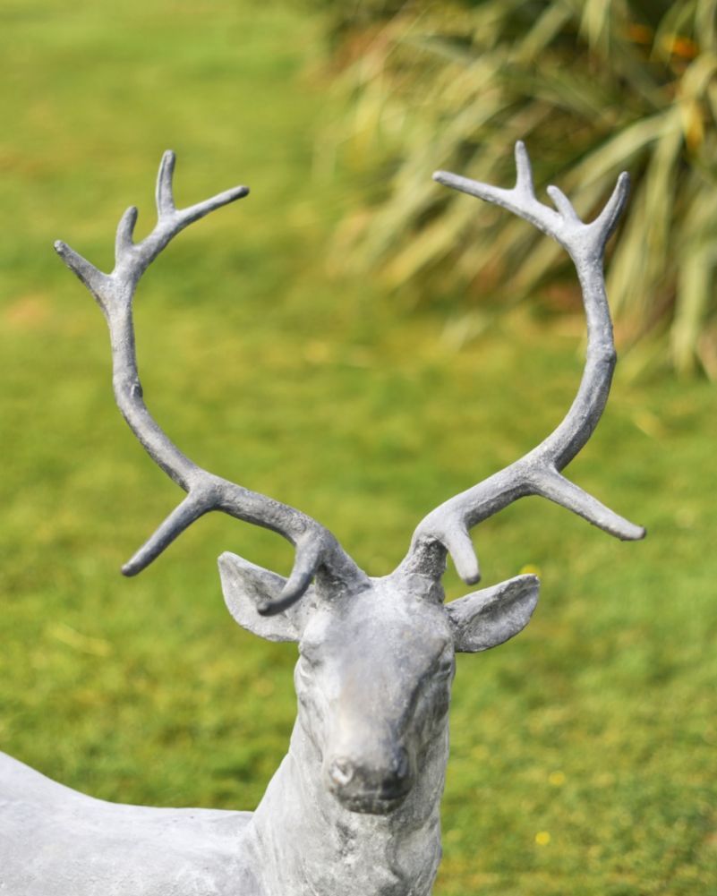 Zekin Lead Finished Cast Iron Stag Sculpture-Facing Right Face
