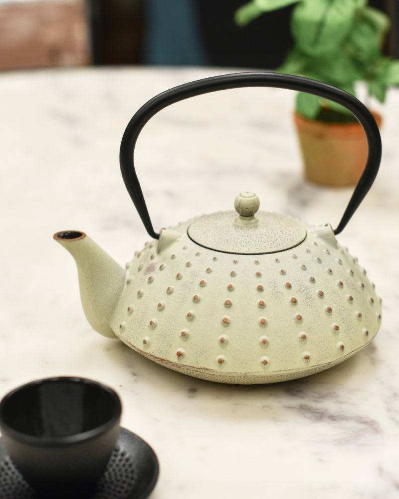 Cast Iron Cream Japanese Teapot