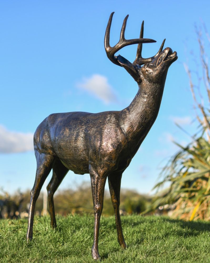 "Woody" Bronze Buck With Head Up Garden Sculpture