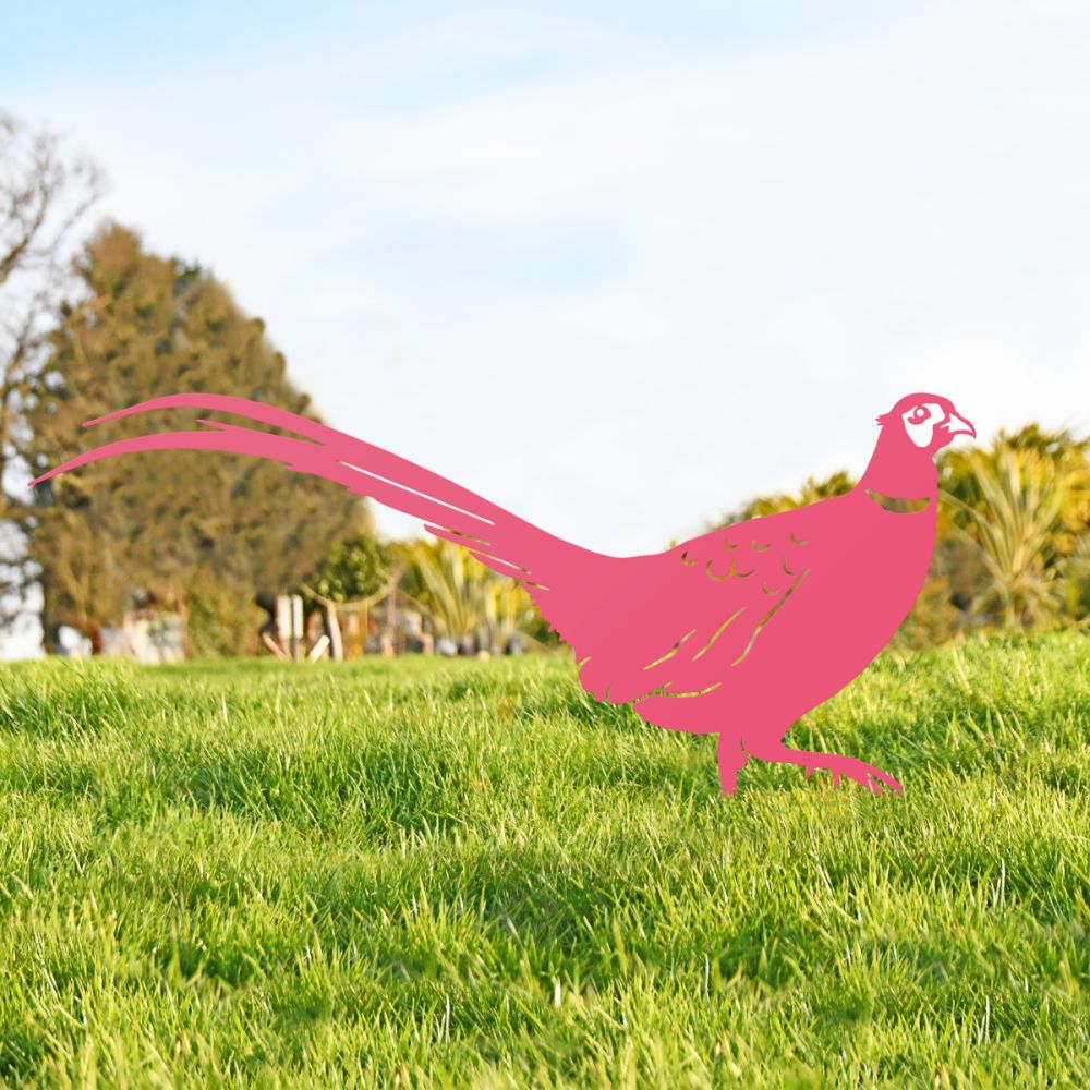 Pink Ring-necked Pheasant Silhouette
