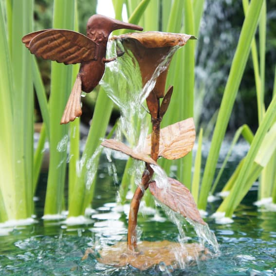 Water Features
