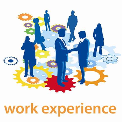work experience