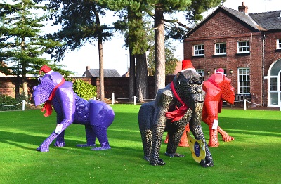 Gorillas at the Wynstay
