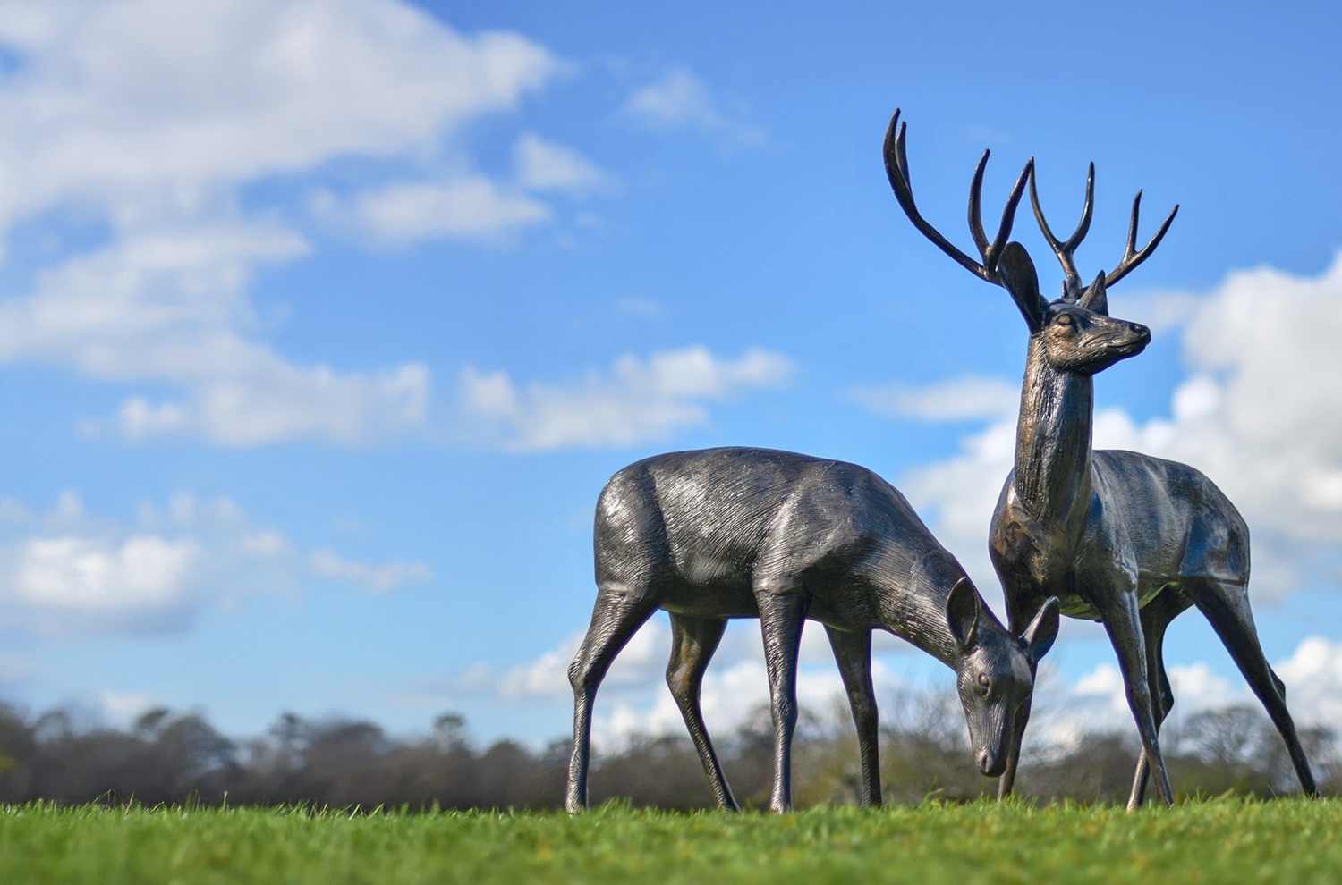 Garden Sculptures
